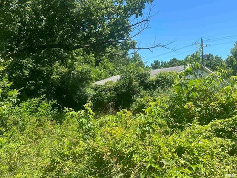 Tiny photo for 5672 Old Route 13 Road, Carterville, IL 62918 (MLS # EB454182)