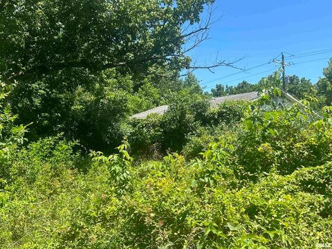 Tiny photo for 5672 Old Route 13 Road, Carterville, IL 62918 (MLS # EB454182)