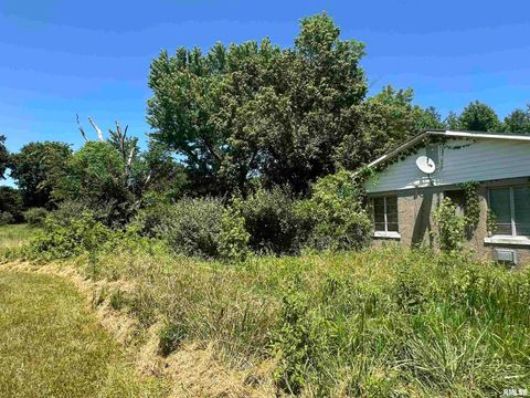 Tiny photo for 5672 Old Route 13 Road, Carterville, IL 62918 (MLS # EB454182)