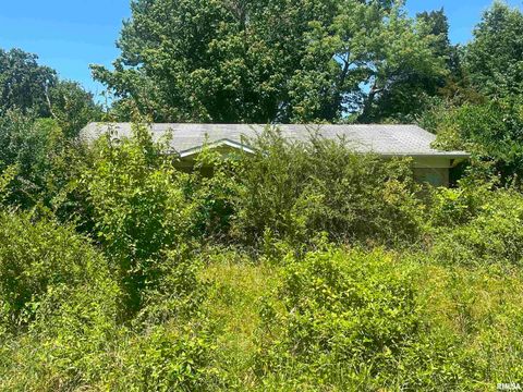 Tiny photo for 5672 Old Route 13 Road, Carterville, IL 62918 (MLS # EB454182)