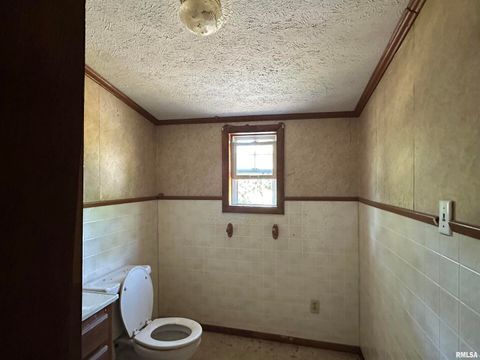 Tiny photo for 5672 Old Route 13 Road, Carterville, IL 62918 (MLS # EB454182)