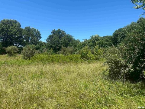 Tiny photo for 5672 Old Route 13 Road, Carterville, IL 62918 (MLS # EB454182)