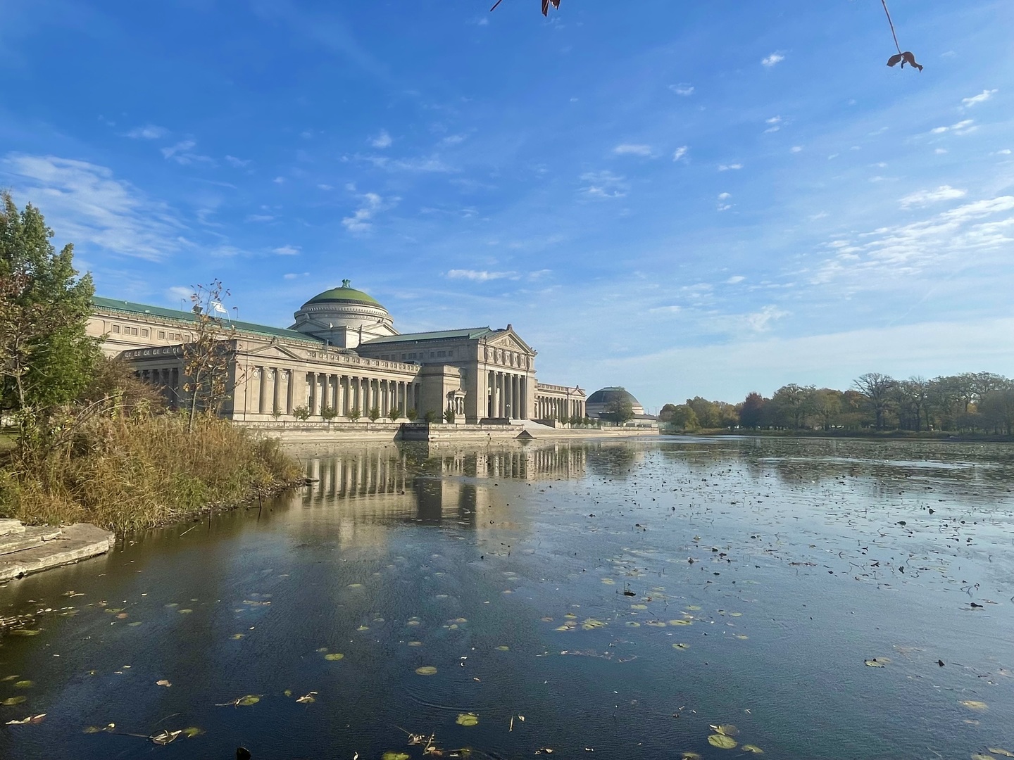 Chicago, Illinois 60615, United States, 5 Bedrooms Bedrooms, ,6 BathroomsBathrooms,Residential,Active,207526