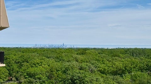 Tiny photo for 190 S Wood Dale Road #1105, Wood Dale, IL 60191 (MLS # 12745795)