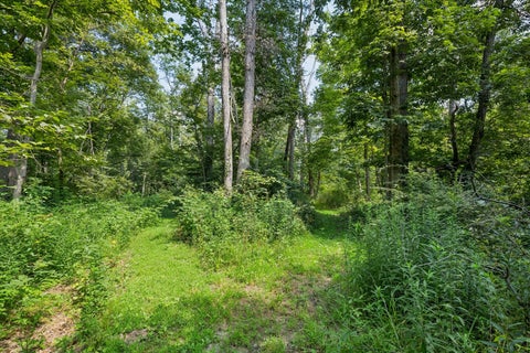 Tiny photo for 178 Hoover Highway, Lowden, IA 52255 (MLS # 12721292)
