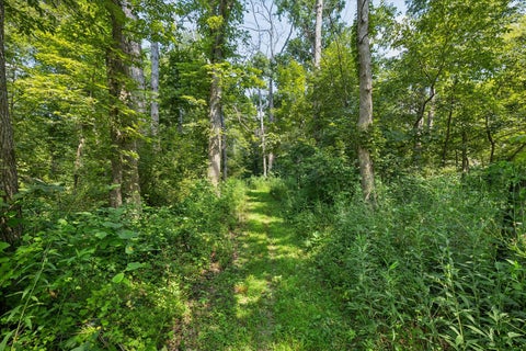Tiny photo for 178 Hoover Highway, Lowden, IA 52255 (MLS # 12721292)