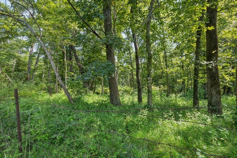 Tiny photo for 178 Hoover Highway, Lowden, IA 52255 (MLS # 12721292)