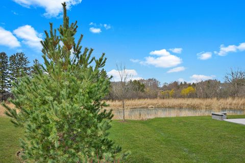 Tiny photo for 2 Potter Court, Hawthorn Woods, IL 60047 (MLS # 12611062)