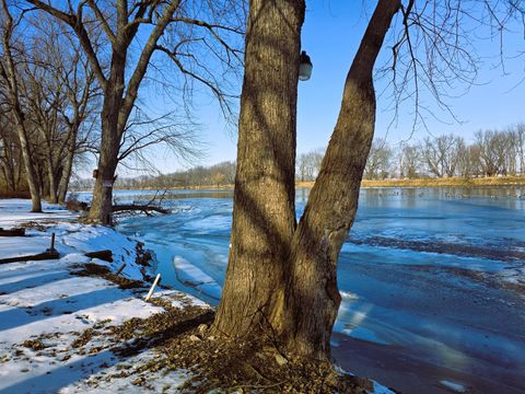 Tiny photo for 13420 Howard Road, Prophetstown, IL 61277 (MLS # 12534733)