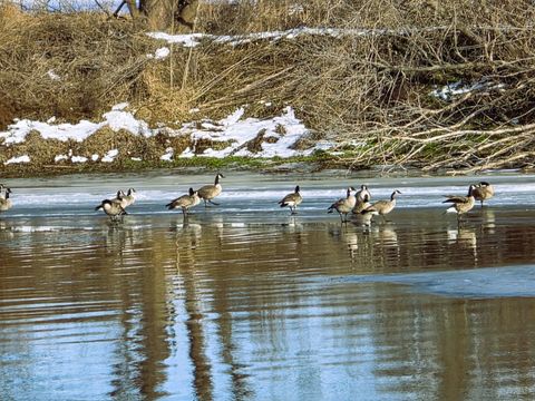 Tiny photo for 13420 Howard Road, Prophetstown, IL 61277 (MLS # 12534733)