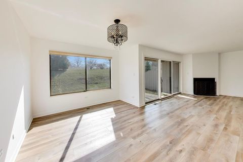 Tiny photo for 83c Thornhill Lane #c, Lake Barrington, IL 60010 (MLS # 12624169)