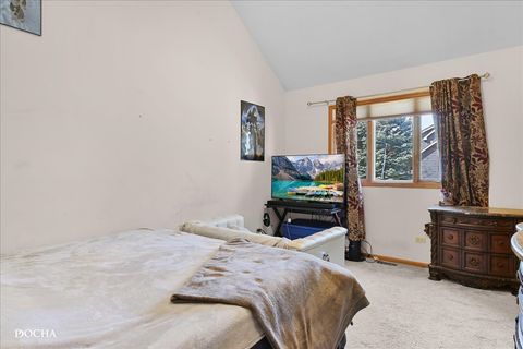 Tiny photo for 365 E Pine Meadow Court, Morris, IL 60450 (MLS # 12603024)