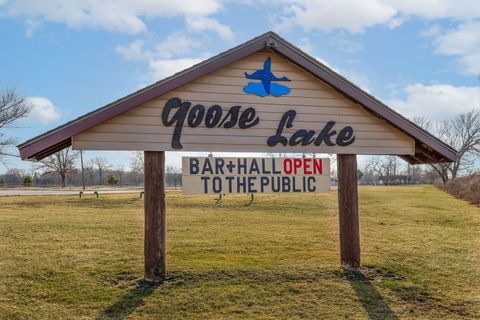 Tiny photo for 3560 Bass Court, Morris, IL 60450 (MLS # 12585846)