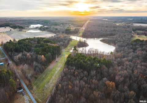 Tiny photo for 15247 Laminack Road, Carterville, IL 62918 (MLS # EB456193)