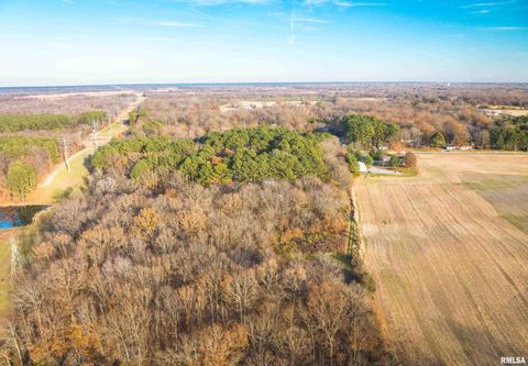 Tiny photo for 15247 Laminack Road, Carterville, IL 62918 (MLS # EB456193)