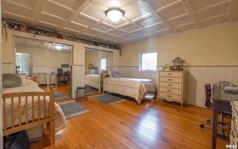 Tiny photo for 15247 Laminack Road, Carterville, IL 62918 (MLS # EB456193)