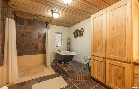 Tiny photo for 15247 Laminack Road, Carterville, IL 62918 (MLS # EB456193)