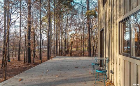 Tiny photo for 15247 Laminack Road, Carterville, IL 62918 (MLS # EB456193)