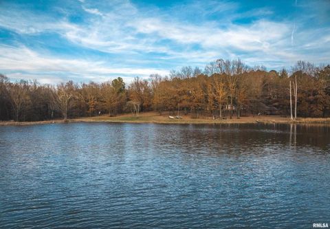 Tiny photo for 15247 Laminack Road, Carterville, IL 62918 (MLS # EB456193)