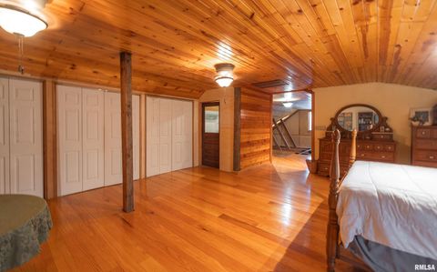 Tiny photo for 15247 Laminack Road, Carterville, IL 62918 (MLS # EB456193)