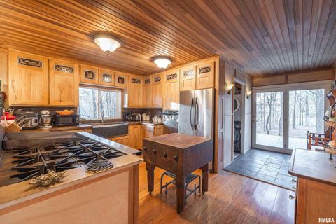 Tiny photo for 15247 Laminack Road, Carterville, IL 62918 (MLS # EB456193)