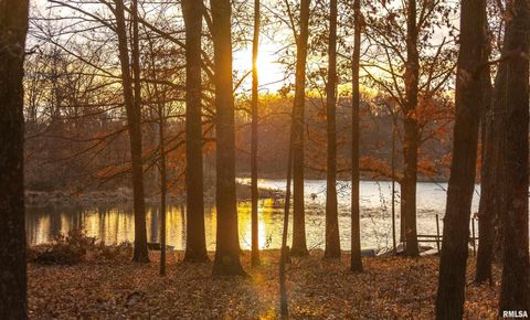 Tiny photo for 15247 Laminack Road, Carterville, IL 62918 (MLS # EB456193)