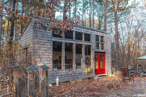 Tiny photo for 15247 Laminack Road, Carterville, IL 62918 (MLS # EB456193)