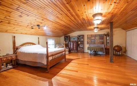 Tiny photo for 15247 Laminack Road, Carterville, IL 62918 (MLS # EB456193)