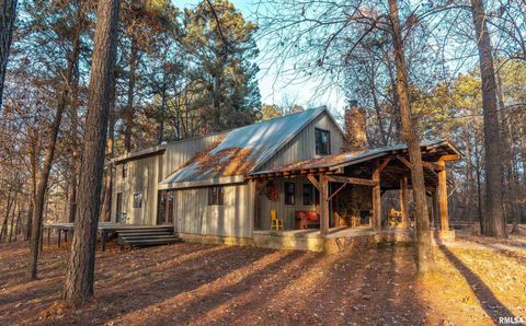 Tiny photo for 15247 Laminack Road, Carterville, IL 62918 (MLS # EB456193)