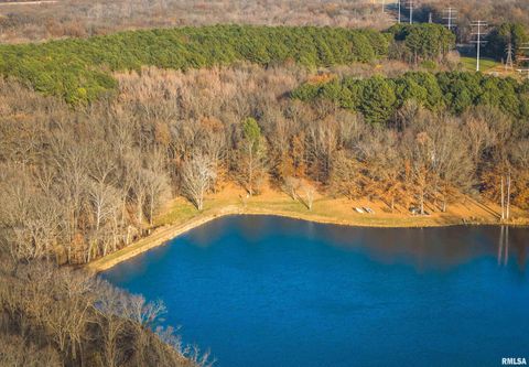 Tiny photo for 15247 Laminack Road, Carterville, IL 62918 (MLS # EB456193)