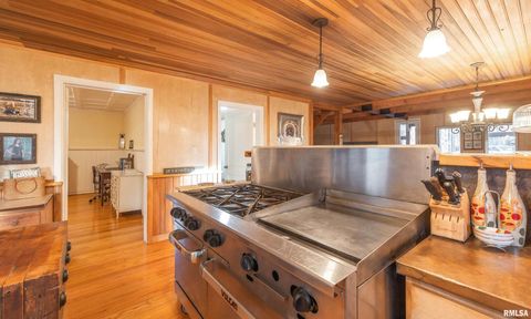 Tiny photo for 15247 Laminack Road, Carterville, IL 62918 (MLS # EB456193)