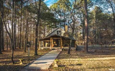 Tiny photo for 15247 Laminack Road, Carterville, IL 62918 (MLS # EB456193)