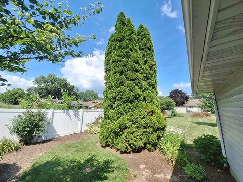 Tiny photo for 303 Prairie Street, Spring Valley, IL 61362 (MLS # 12708639)