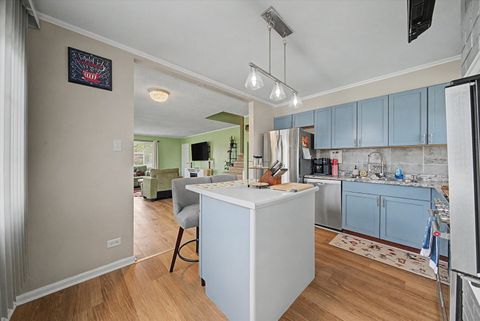 Tiny photo for 103 Willow Street, Park Forest, IL 60466 (MLS # 12620027)