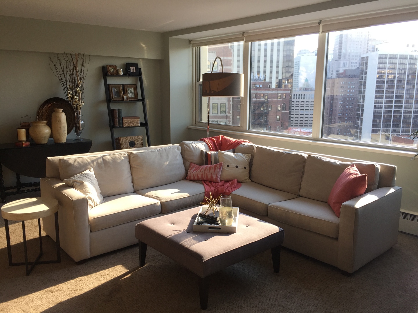 1150 N Lake Shore Drive 20K