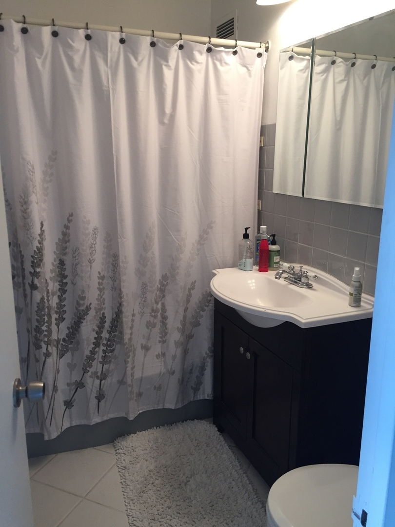 1150 N Lake Shore Drive 20K