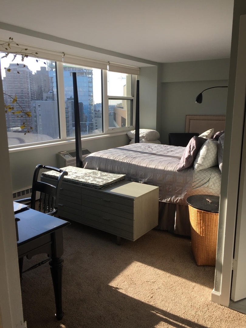 1150 N Lake Shore Drive 20K