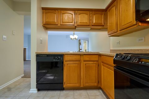 Tiny photo for 123 Willow Brook Court #3, Schaumburg, IL 60195 (MLS # 12456929)