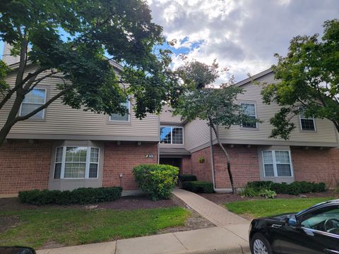 Photo of 123 Willow Brook Court #3, Schaumburg, IL 60195 (MLS # 12456929)