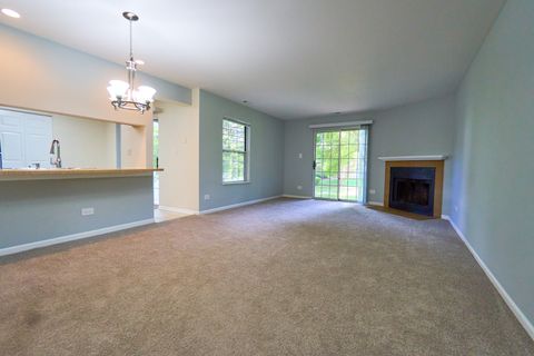 Tiny photo for 123 Willow Brook Court #3, Schaumburg, IL 60195 (MLS # 12456929)