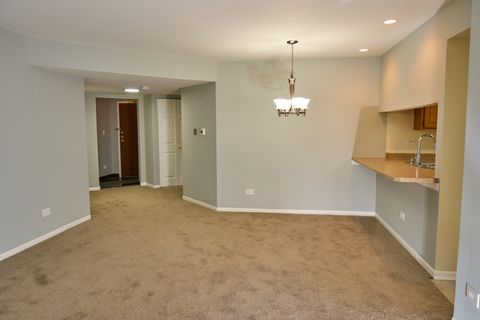 Tiny photo for 123 Willow Brook Court #3, Schaumburg, IL 60195 (MLS # 12456929)