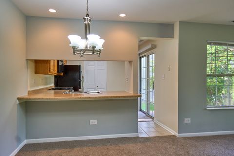 Tiny photo for 123 Willow Brook Court #3, Schaumburg, IL 60195 (MLS # 12456929)