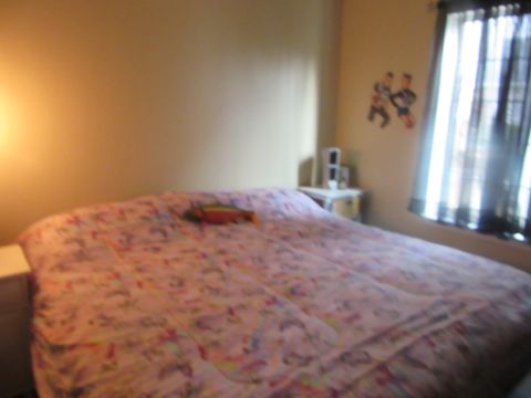 Tiny photo for 324 Wabena Court, Minooka, IL 60447 (MLS # 12430861)