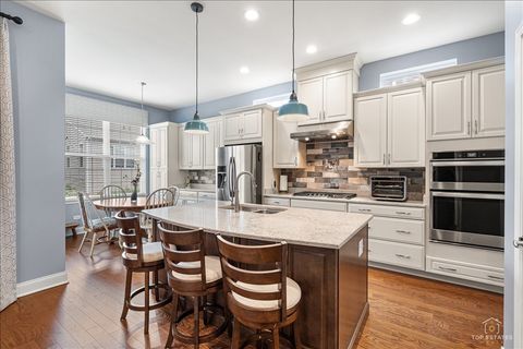 Tiny photo for 3870 Double Eagle Drive, Elgin, IL 60124 (MLS # 12646151)