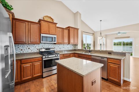 Tiny photo for 1573 Francis Drive, Pingree Grove, IL 60140 (MLS # 12627452)