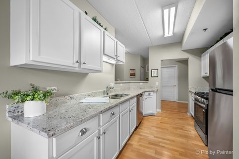 Tiny photo for 440 W Mahogany Court #312, Palatine, IL 60067 (MLS # 12531004)