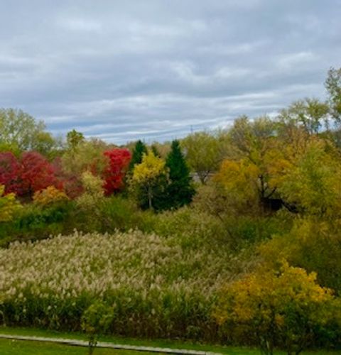 Tiny photo for 440 W Mahogany Court #312, Palatine, IL 60067 (MLS # 12531004)