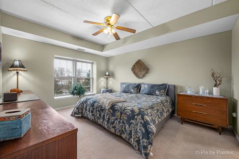 Tiny photo for 440 W Mahogany Court #312, Palatine, IL 60067 (MLS # 12531004)