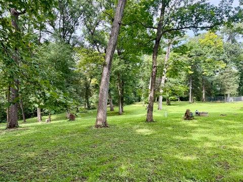 Tiny photo for 2045 IL Route 2, Dixon, IL 61021 (MLS # 12743093)