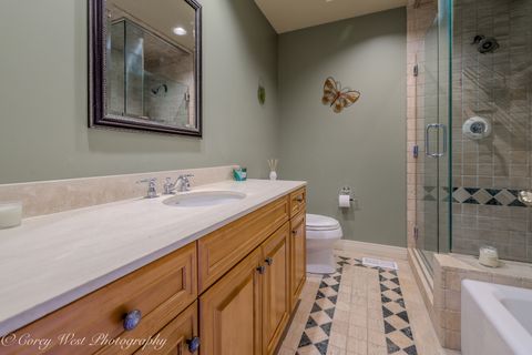 Tiny photo for 0N004 Alexander Drive, Geneva, IL 60134 (MLS # 12568098)